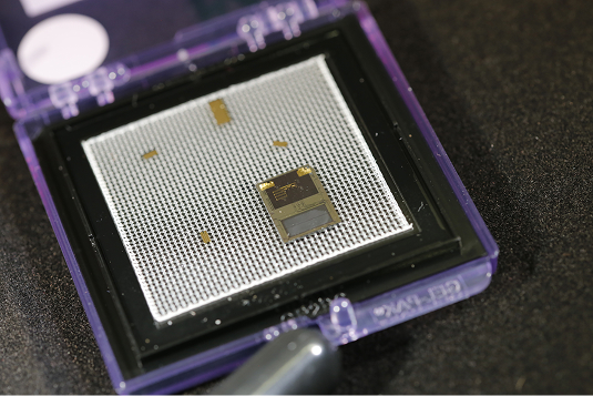 Computer chip microprocessor